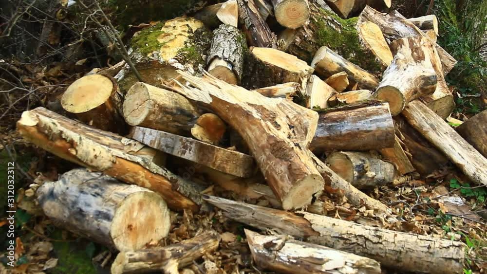 Log fire, fire wood, chopped, prepared for winter. Log fire, fire wood, chopped, prepared for winter.