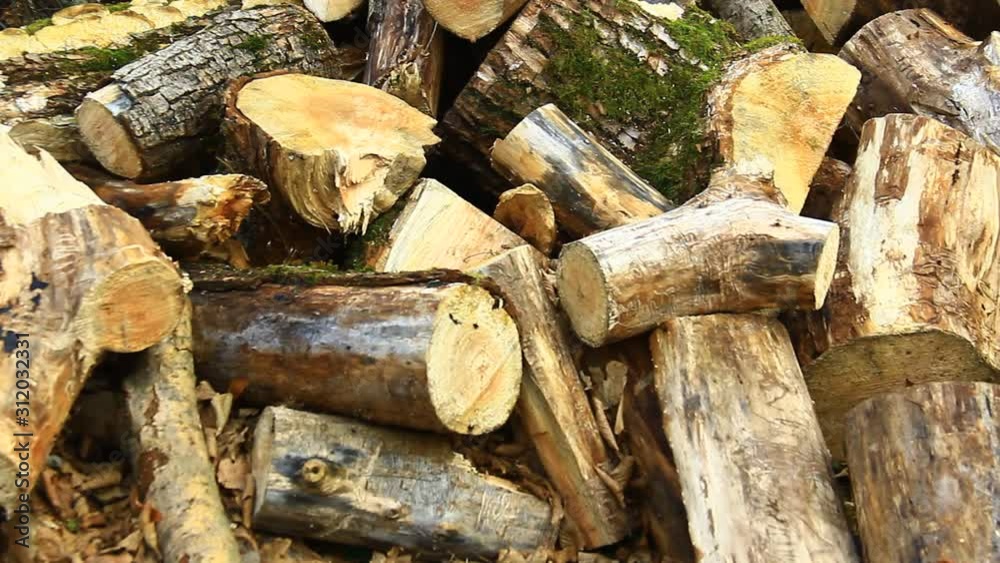 Log fire, fire wood, chopped, prepared for winter. Log fire, fire wood, chopped, prepared for winter.