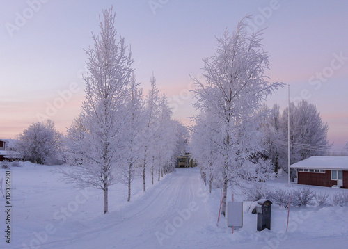 Frosty morning in the Arctic Circle in northern Sweden