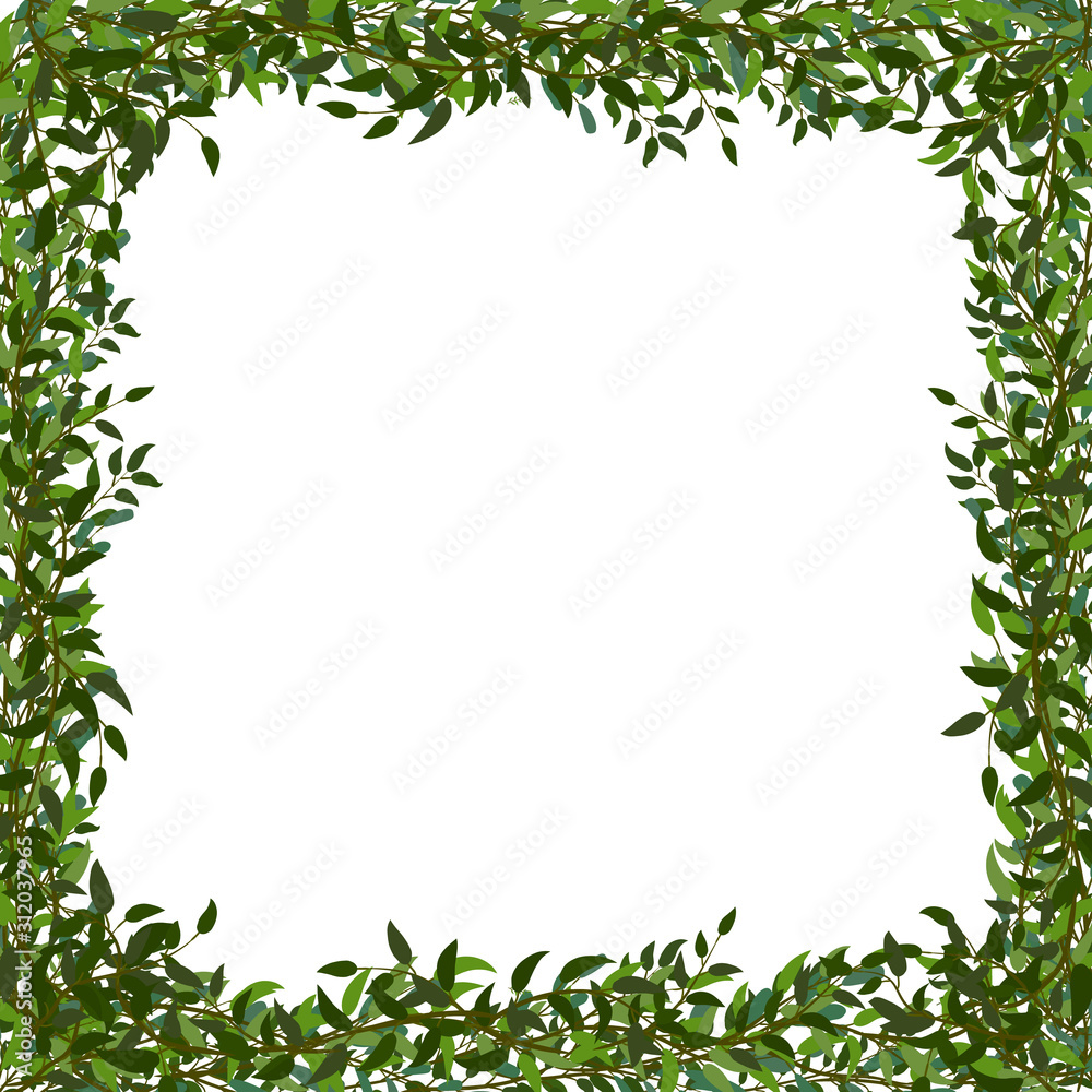 square frame of branches with leaves on white background square frame of branches with leaves on white background