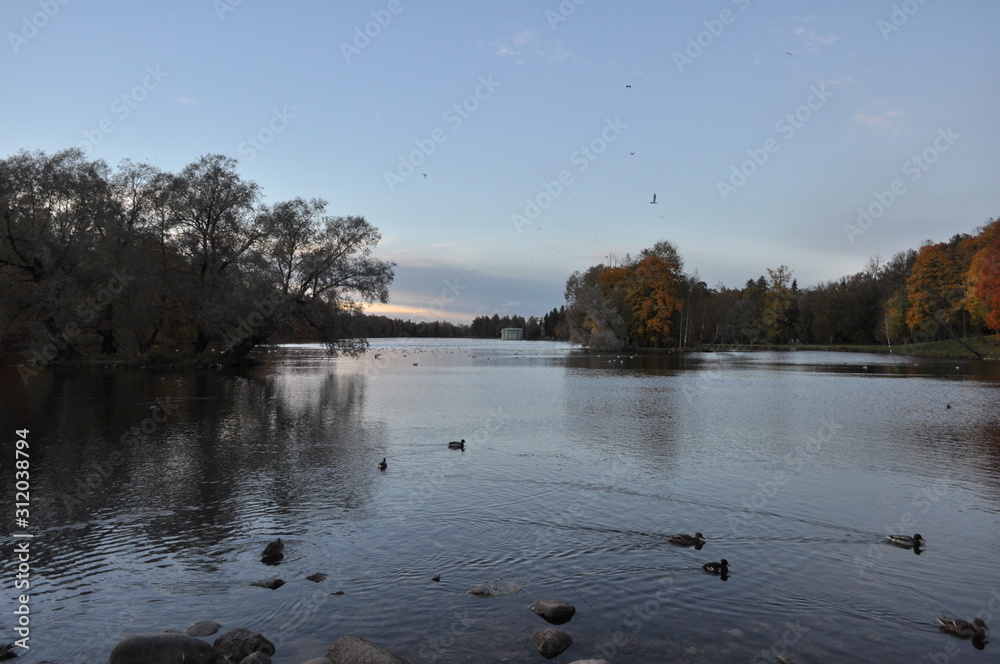 Naklejka premium Beautiful sunset. Beautiful gently blue sky with vanilla clouds. An interesting expanse of lake water and far trees