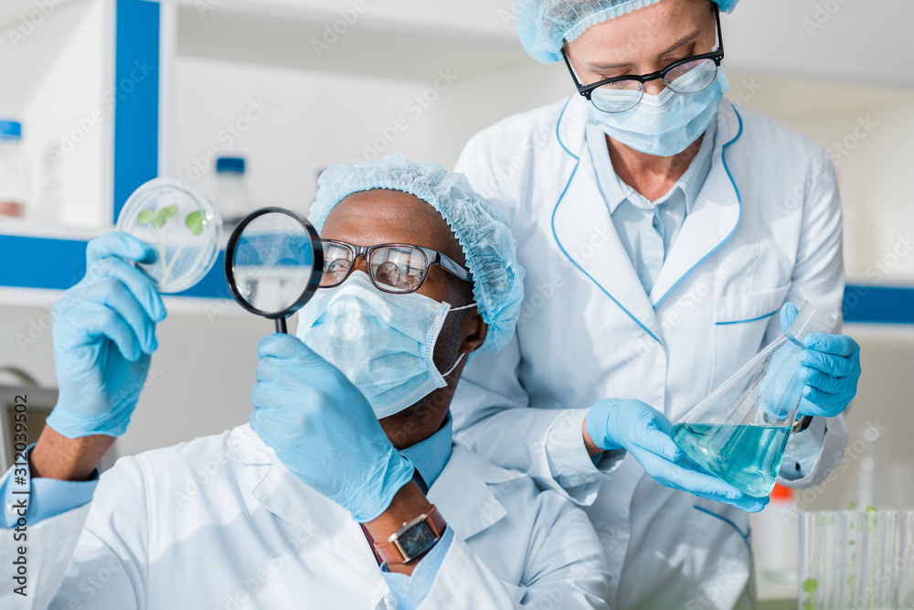 african american biologist looking at leaves with magnifying glass and his colleague doing test african american biologist looking at leaves with magnifying glass and his colleague doing test