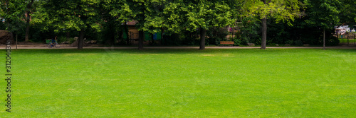 Fototapeta Naklejka Na Ścianę i Meble -  Green lawn in the park.