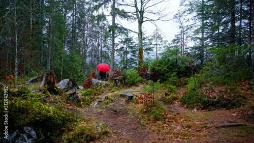 Walk around the Eibsea (Eibsee) near Zugspitze (highest mountain in Germany). Path in green forest. Sea surrounded with green fir trees, grey stones and rock fragments. Wanderer with red umbrella.