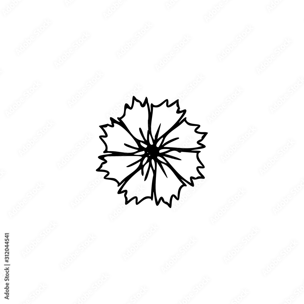 Obraz premium Flower black ink hand drawn