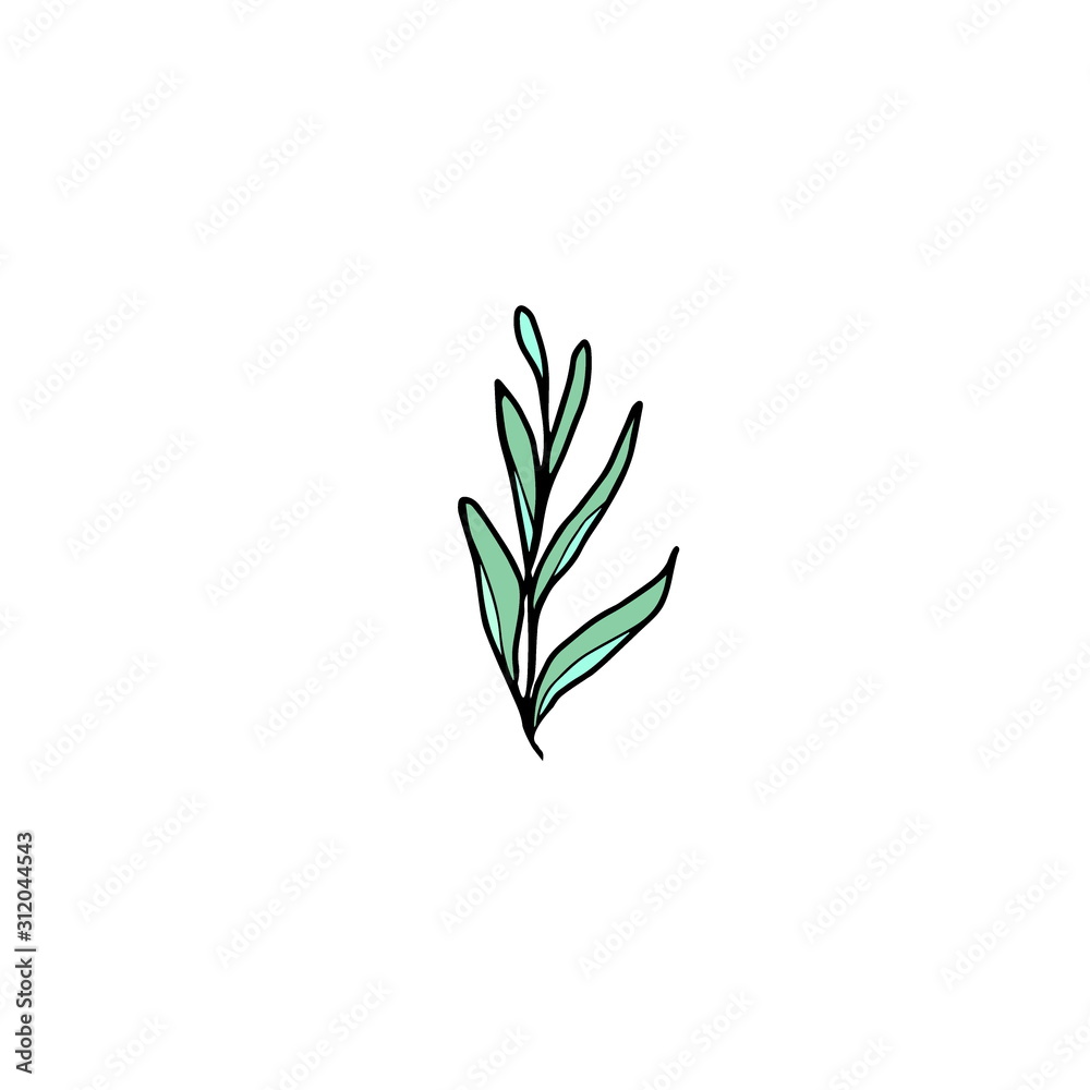 Greenery leaf hand drawn Greenery leaf hand drawn