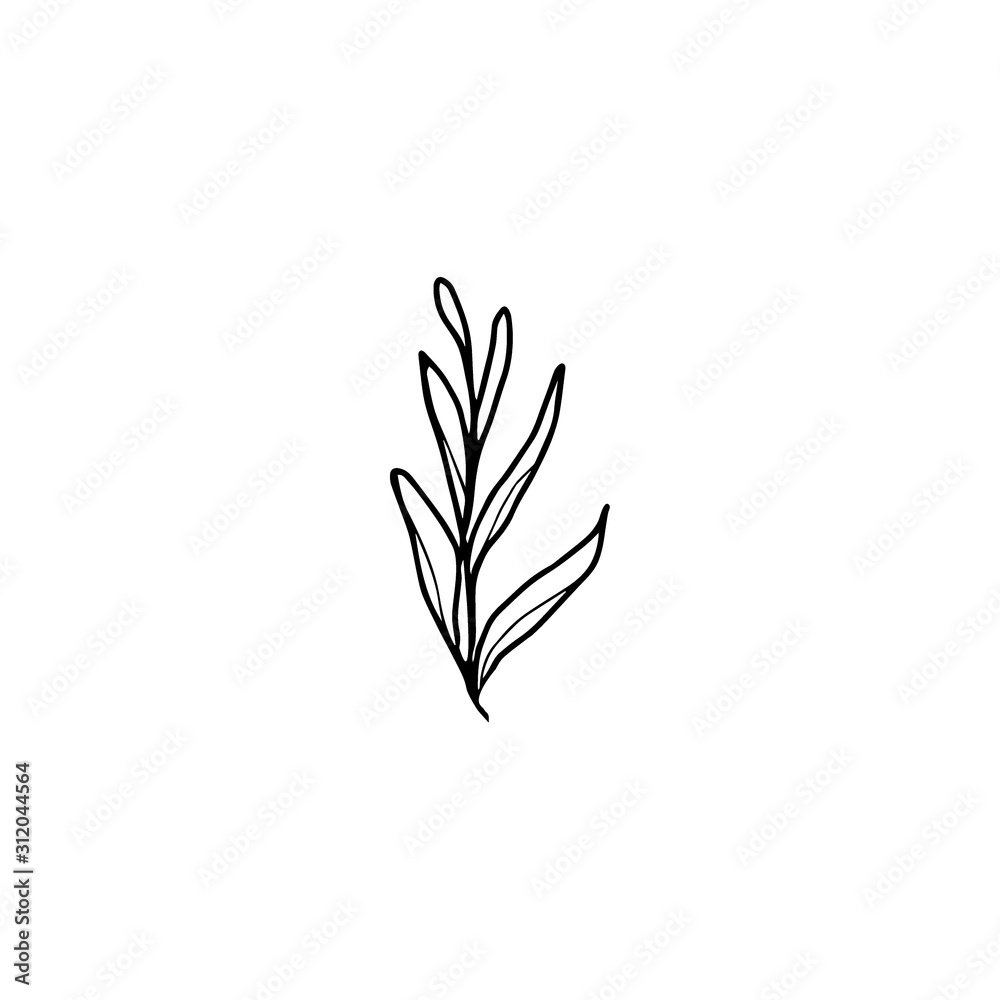 Floral leaf black ink hand drawn Floral leaf black ink hand drawn