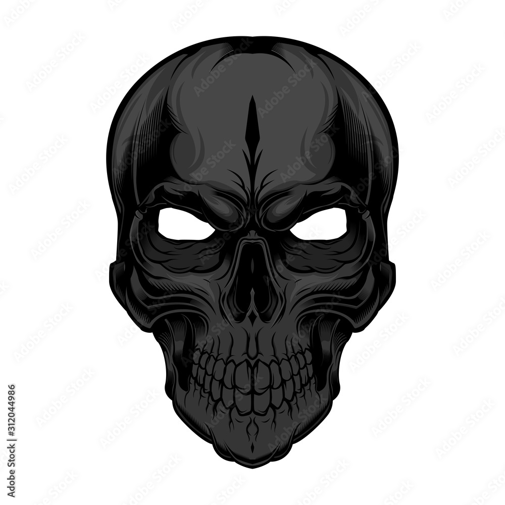 illustration of human skull Dark Colour on white background illustration of human skull Dark Colour on white background