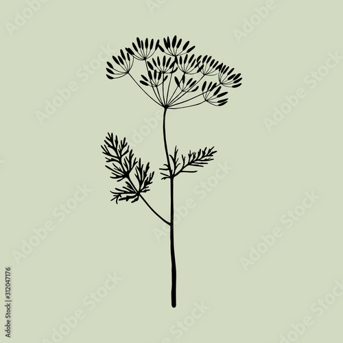 Monochrome dill on a green background. Can be used for postcards, invitations, advertising, web, textile and other.