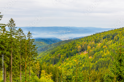 Fototapeta Naklejka Na Ścianę i Meble -  View from the trail to the Śnieżnik Mountain, Poland