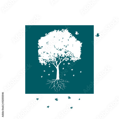 Sycamore tree, fallen leaves and bird. Vector illustration.