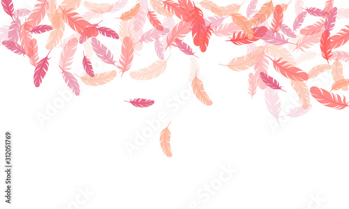 Fluffy twirled feathers on white design.