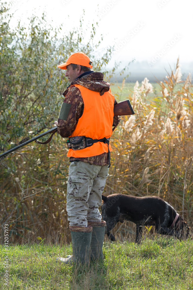A man with a gun in his hands and an orange vest on a pheasant hunt in a wooded area in cloudy weather. Hunter with dogs in search of game. A man with a gun in his hands and an orange vest on a pheasant hunt in a wooded area in cloudy weather. Hunter with dogs in search of game.