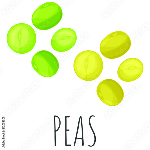 Peas vector set, isolated cartoon style illustration.