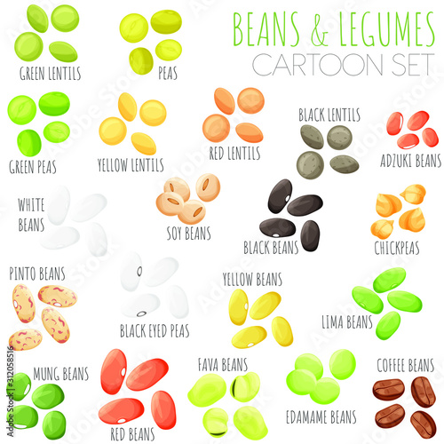 Beans and legumes vector set, cartoon style isolated illustrations.