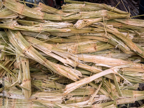 Sugarcane bagasse, nature fiber recycle for biofuel pulp and building materials. © noon@photo