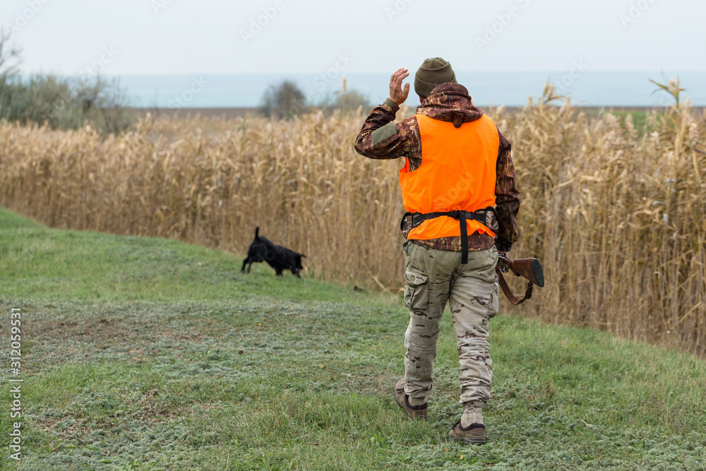 Hunting period, autumn season open. A hunter with a gun in his hands in hunting clothes in the autumn forest in search of a trophy. Hunting period, autumn season open. A hunter with a gun in his hands in hunting clothes in the autumn forest in search of a trophy.