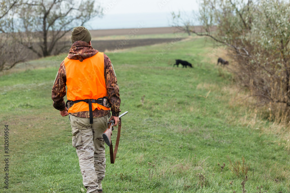 Hunting period, autumn season open. A hunter with a gun in his hands in hunting clothes in the autumn forest in search of a trophy. Hunting period, autumn season open. A hunter with a gun in his hands in hunting clothes in the autumn forest in search of a trophy.