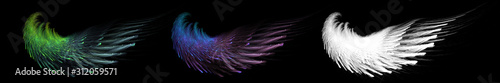 Fotografie, Obraz fantasy angel wings with white clipping mask
