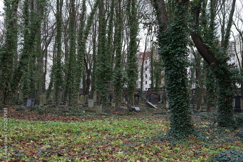 Der Jüdische Friedhof in der Schönhauser Allee (Berlin)