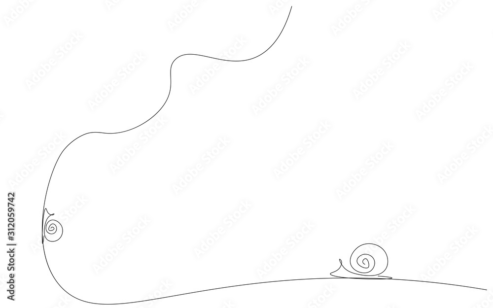 Snail animal on the white background. Vector illustration Snail animal on the white background. Vector illustration