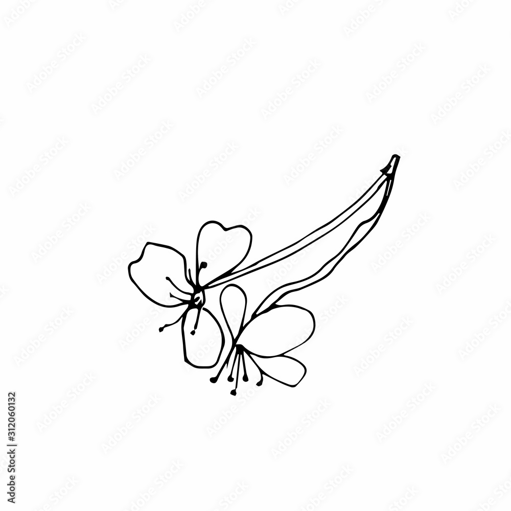 Vector one sakura. Black spring illustration flowers line art on a white isolated background. Design for weddings, prints, stickers, web, coloring, cards, layouts. Vector one sakura. Black spring illustration flowers line art on a white isolated background. Design for weddings, prints, stickers, web, coloring, cards, layouts.
