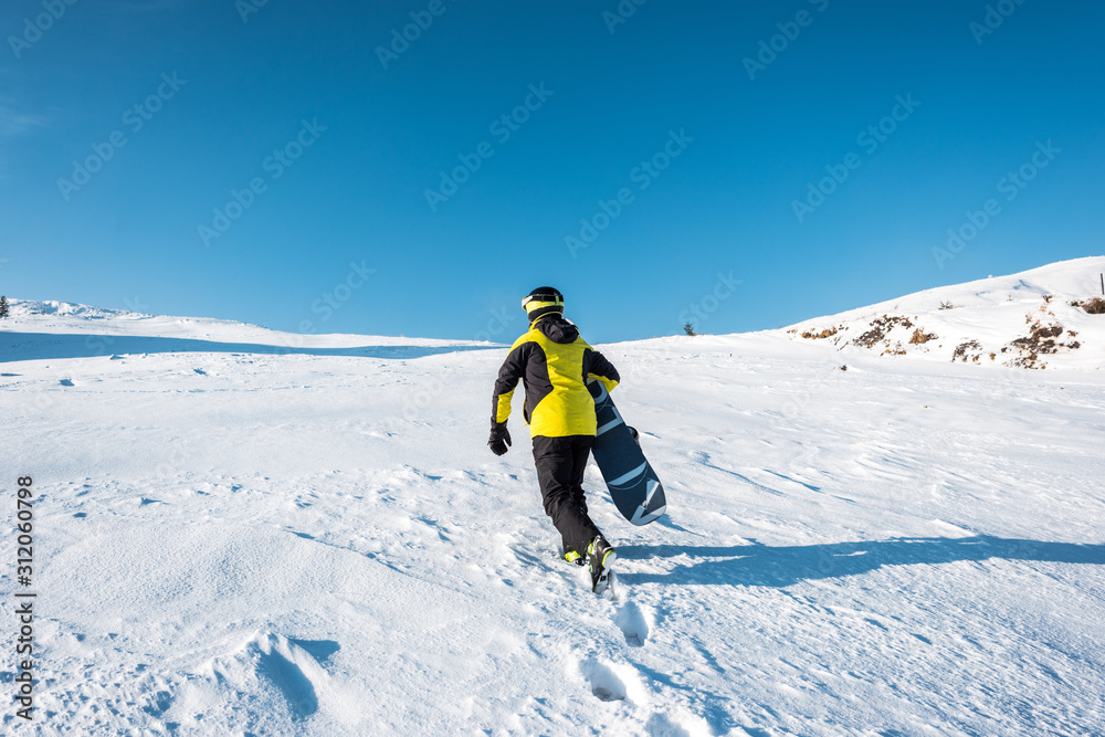back view of sportsman holding snowboard while walking on snow