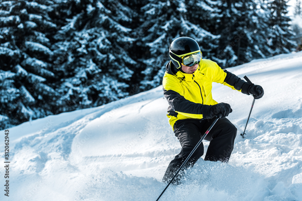 skier in goggles and helmet holding ski sticks and skiing near firs