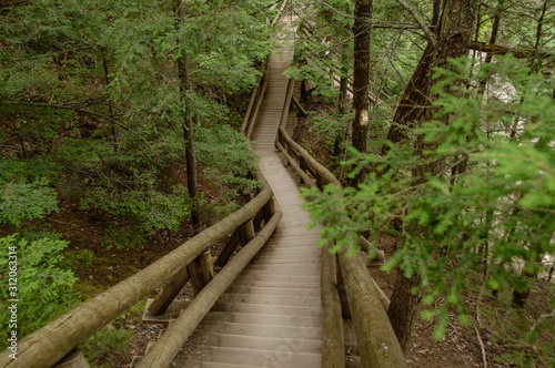 Hiking Trail in Forest with wooden handrails