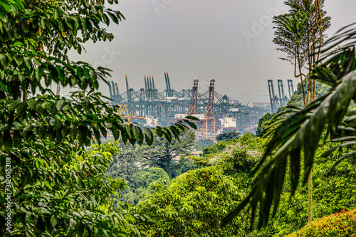 Photography View on Singapore harbor from Mount Faber Park during daytime