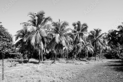 Cuba. Retro toned black and white style. © Tupungato
