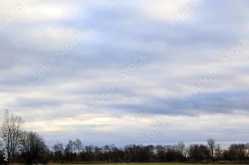 cloudy sky and empty trees