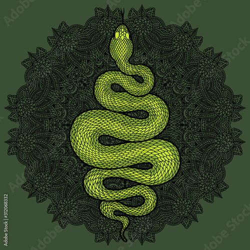 Coiled snake detailed illustration