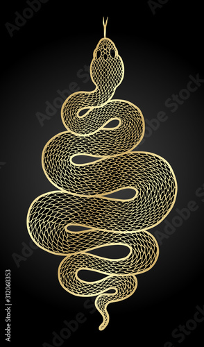 Coiled snake detailed illustration