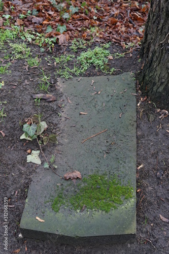 Umgekippter, verwitterter jüdischer Grabstein neben einem Baum auf dem Boden