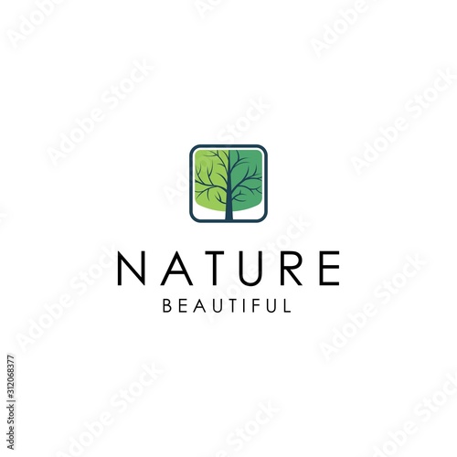 Logo tree. Eco nature wood trees stylized emblems or badges vector collection