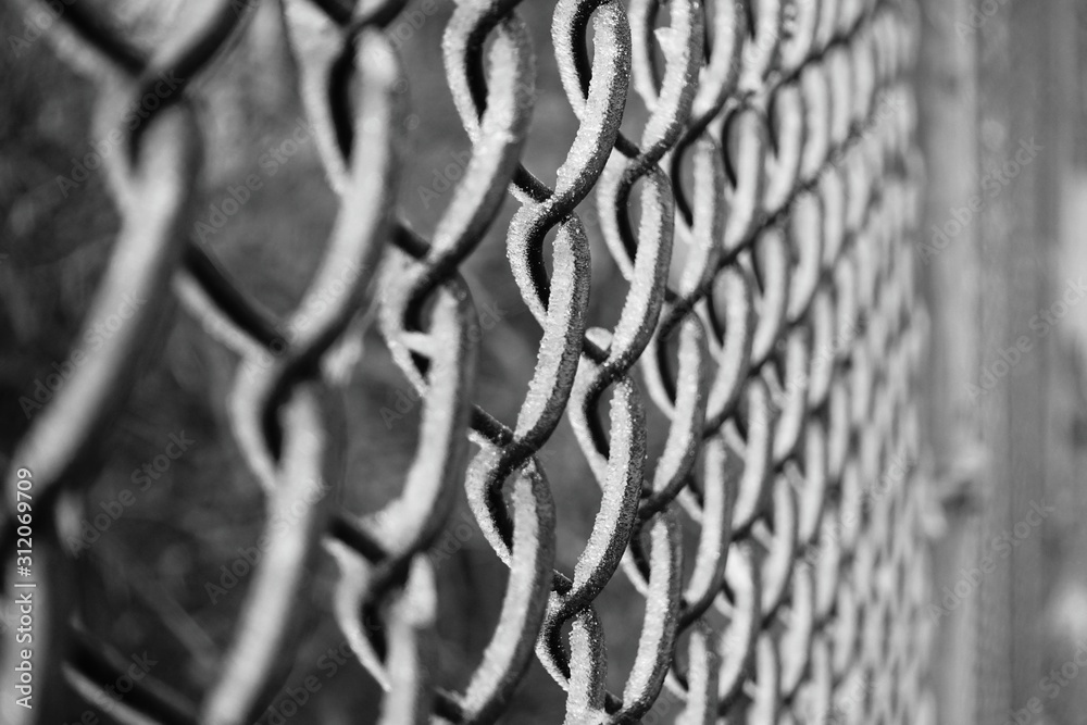 The metal mesh of the hedge is covered with hoarfrost The metal mesh of the hedge is covered with hoarfrost
