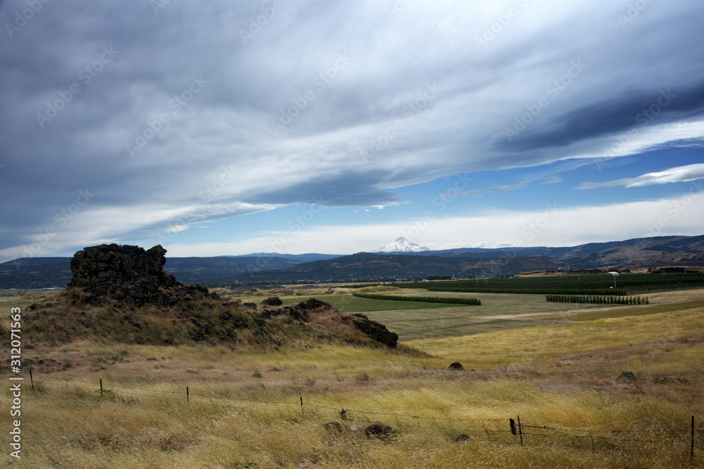 Columbia Hills State Park, Washington, with Mt Hood in the Distance, Taken in January