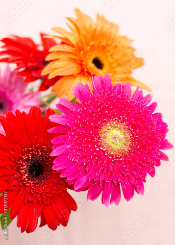 bouquet of bright flowers of chrysanthemums