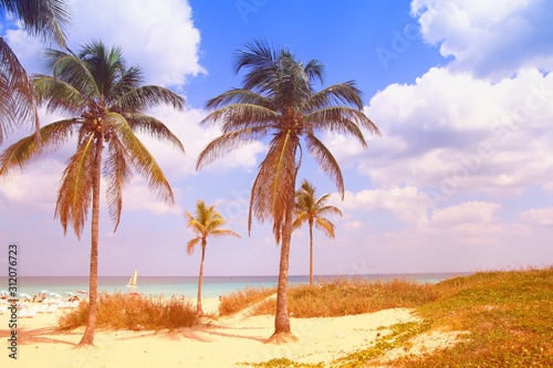 Cuba beach nature. Vintage filtered colors. © Tupungato