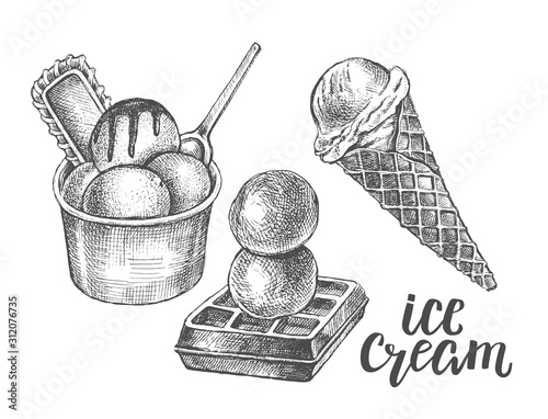Ink hand drawn set of different types of ice cream, italian dessert gelato. Food elements collection for menu or signboard design. Vector illustration with brush calligraphy style lettering.