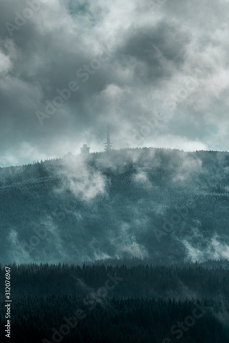 Misty landscape with fir forest in hipster vintage retro style. Forest Harz Mountains, National Park Harz in Germany