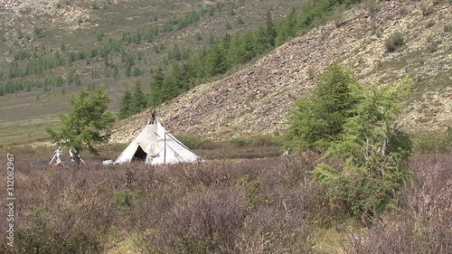 Mongolia. Darkhat basin. The camp of reindeer herders. Deer. photo