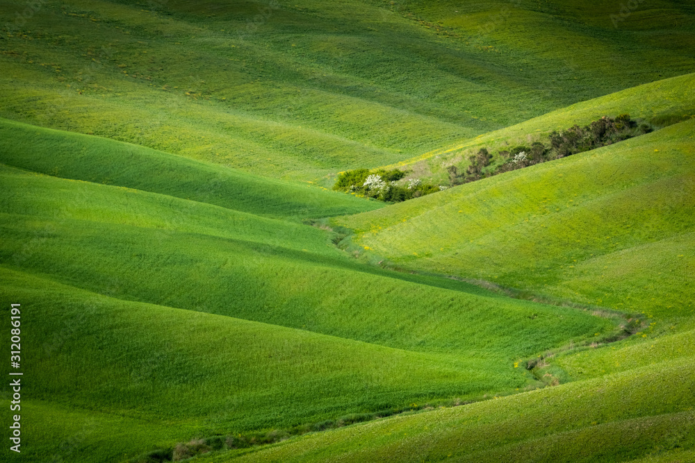 Spring view of typical Italian field