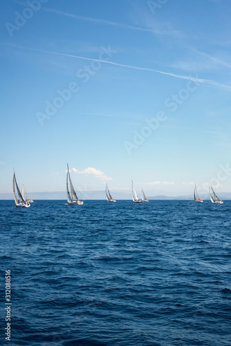 Regatta in the Adriatic sea