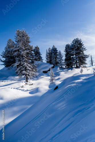 verschneite Berglandschaft im Winter