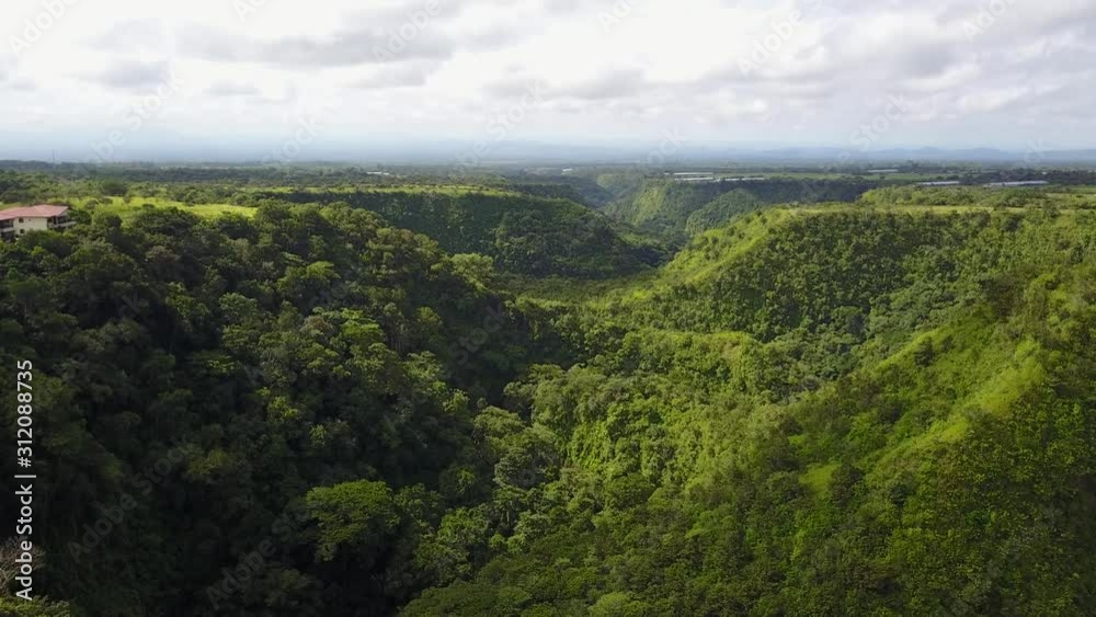 American jungle of Panama and coffee plantation American jungle of Panama and coffee plantation