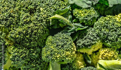 Variety of broccoli