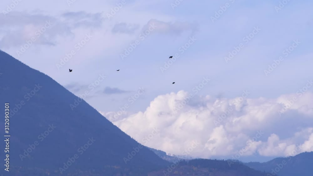 birds flying with clouds and mountains behind them birds flying with clouds and mountains behind them