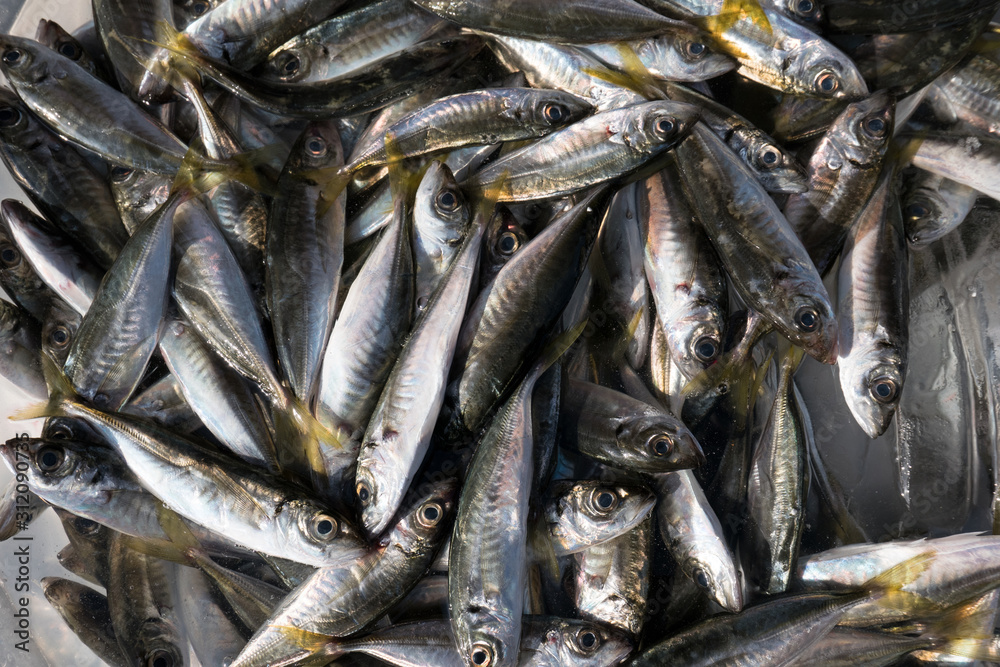 Obraz premium fishmarket in Istanbul